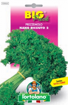 PREZZEMOLO Nano ricciuto 2