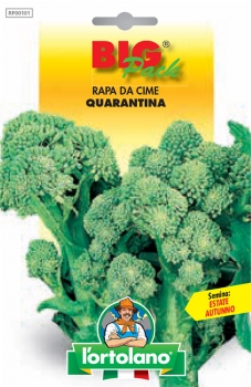 RAPA da cime quarantina