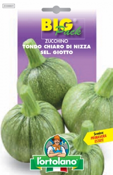 ZUCCHINO Tondo chiaro di Nizza sel. Giotto