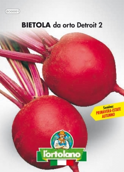 BIETOLA da orto Detroit 2