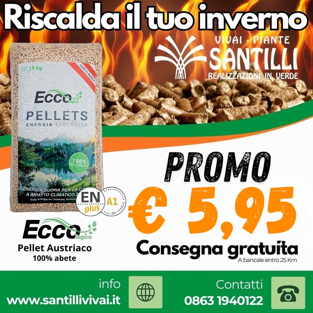 ECCOLOGICO PRESTAGIONALE 2025 Bancale ECCOlogico Pellet 15kg 100% abete Austriaco - immagine 1