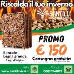 Bancale legna da ardere 12.5 Quintali all'origine