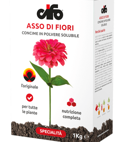 asso di fiori