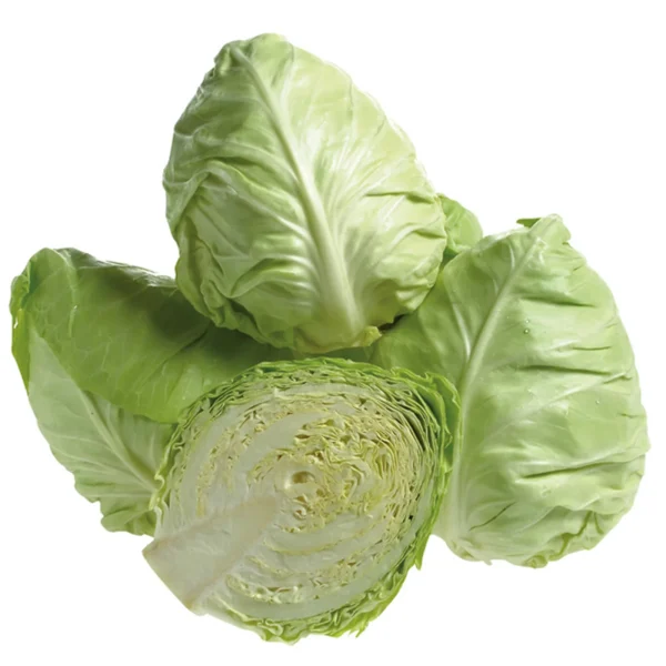 Cavolo Cappuccio a Cuore
