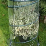 Serra per giardino Pop- Up Cirtus