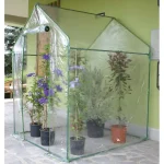 Serra per giardino Clematis