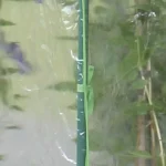 Serra per giardino Clematis - immagine 4