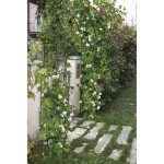 Arco in ferro decorativo per rampicanti - immagine 2