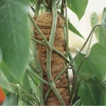Tutori in fibra di cocco - immagine 2