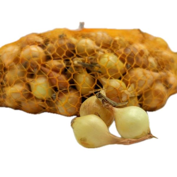 Cipolla Gialla Stoccarda 14/21 F1 500g - Bulbi