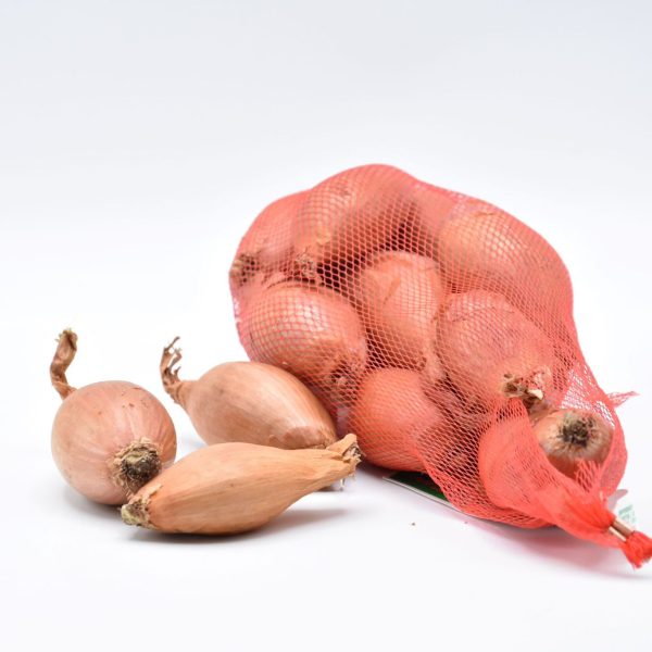 Scalogno Lungo Rosso Longor 15/40 500g - Bulbi