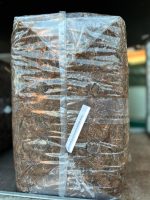 Substrato per Pleurotus - Pronto all’uso per funghi commestibili - immagine 2