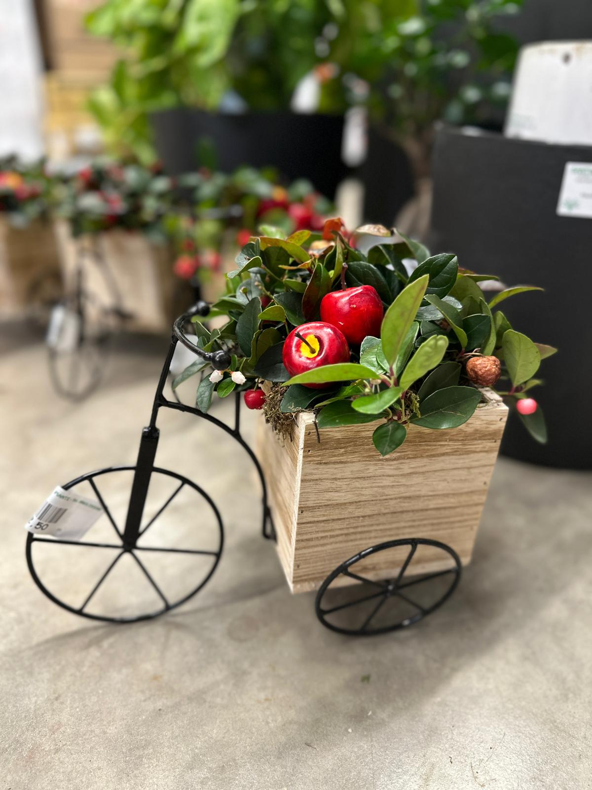 BICI 1 Composizione in Bici con Gaultheria e Bacche Rosse 29x20x29 cm - immagine 1