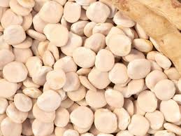 Lupini 14/16 al Kg