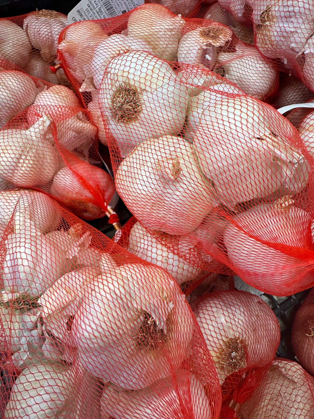 AGLIO ROSSO DA TRAPIANTO Aglio rosso da trapianto 50/55 - 500 gr di sulman - immagine 1